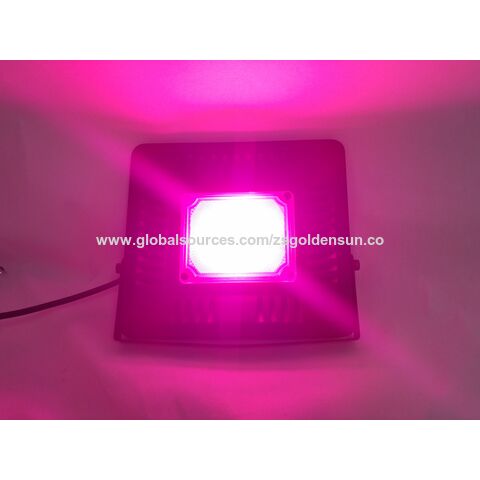 Precio de fábrica COB LED luz de cultivo espectro completo todas las etapas de cultivo de plantas impermeables para caja de tienda
