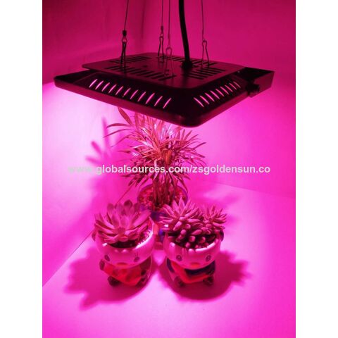 Precio de fábrica COB LED luz de cultivo espectro completo todas las etapas de cultivo de plantas impermeables para caja de tienda