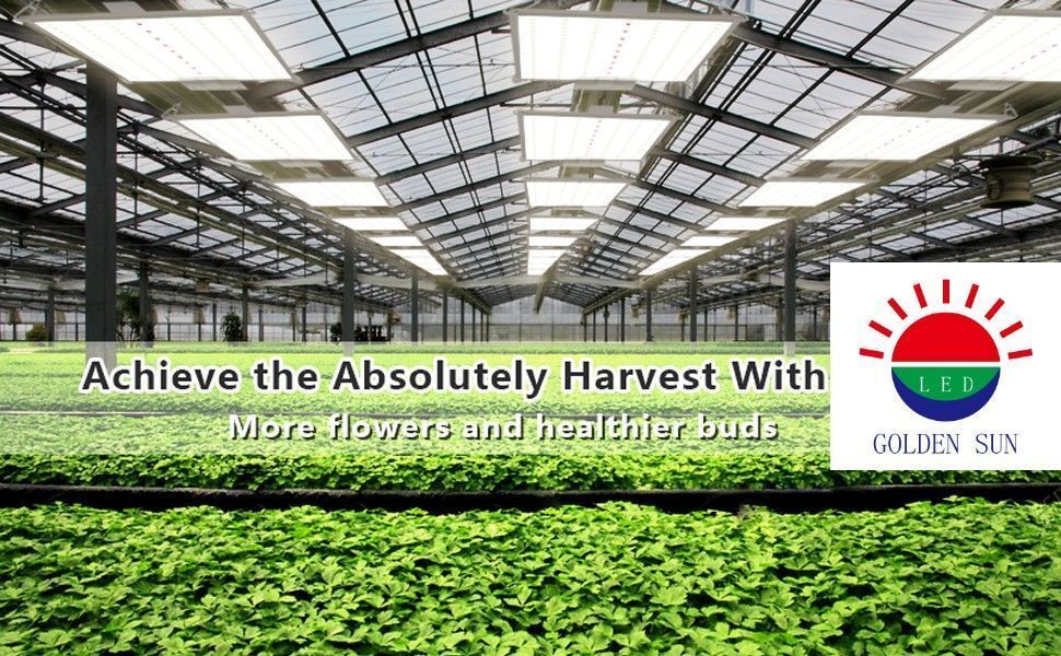 Bulk Buy China Wholesale Factory Price Led Grow Light Full Spectrum For ...