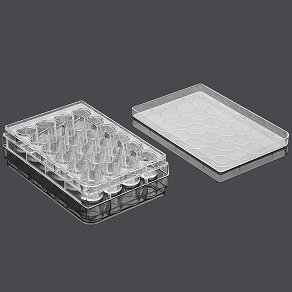 Ps Material Laboratory Medical Transparent Sterile Petri Dish Lab Flat