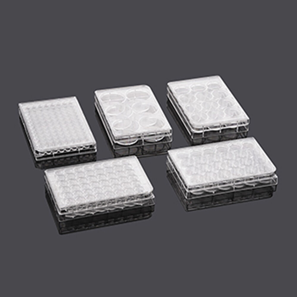 Ps Material Laboratory Medical Transparent Sterile Petri Dish Lab Flat