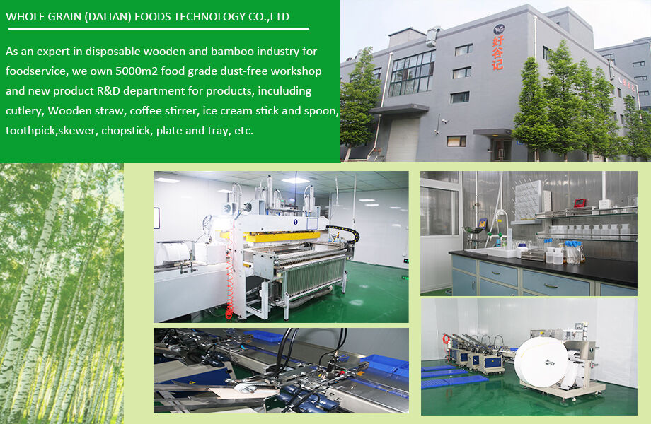 Wg Compostable Disposable Wood Popsicle Stick Wooden Ice Cream Stick