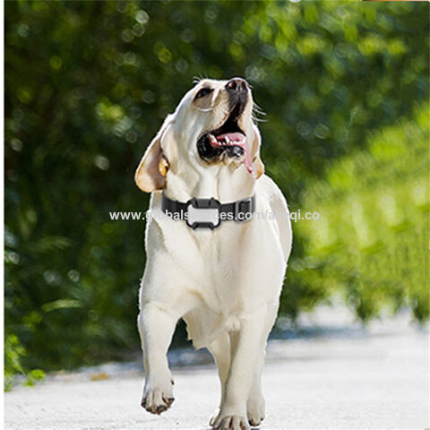 Long Distance Smart Pet Collar Geo Fence Tracker Locator Waterproof 4g Gps Tracking Device For Cat Dog 19.9 Wholesale China 4g Gps Pet Tracker at Factory Prices from Shenzhen Motto Electronics