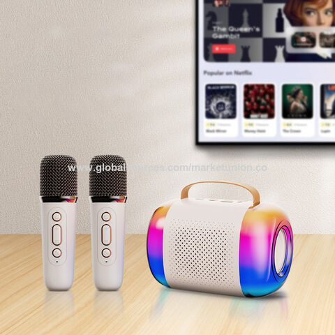 Mini Machine de Karaoké pour Enfants et Adultes, Haut-Parleur Bluetooth Portable avec 2 Microphones sans Fil, Cadeaux d'Anniversaire pour Filles et Tout-Petits