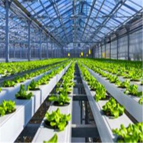 Système de Culture Hydroponique NFT en PVC pour Serre, Cultivant de la Laitue en Intérieur