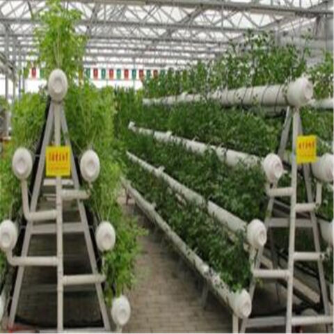 Système de Culture Hydroponique NFT en PVC pour Serre, Cultivant de la Laitue en Intérieur