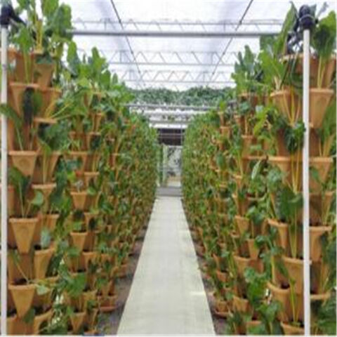Système de Culture Hydroponique NFT en PVC pour Serre, Cultivant de la Laitue en Intérieur