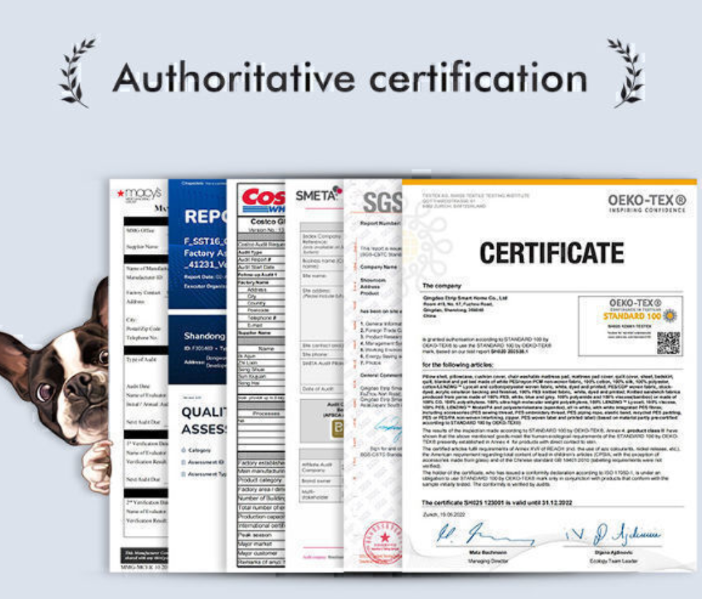 Large Capacity Backpacks,transparent Space Capsule Bubble Pet Backpack