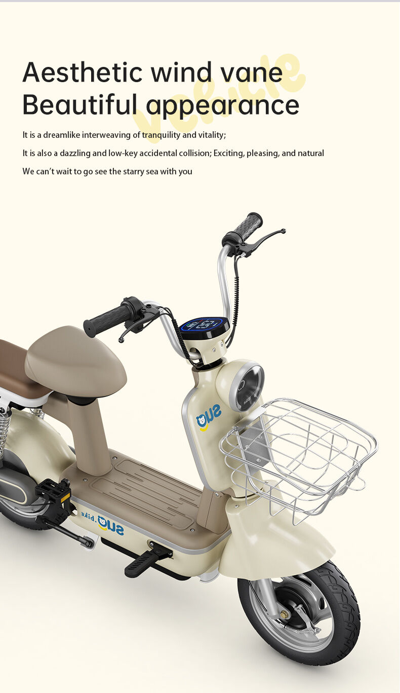 2024 Cheap Electric City Bike 350w 48v Seat E Bike Electric