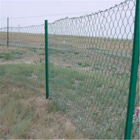 Bem-vindo OEM PVC revestido de malha de diamante cerca de elo de corrente para jardim, fazenda, campo esportivo, forma de losango