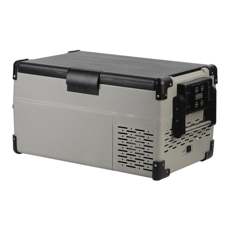 Supplier Car Refrigerator Compressor Fridge Ac/dc Compressor ...