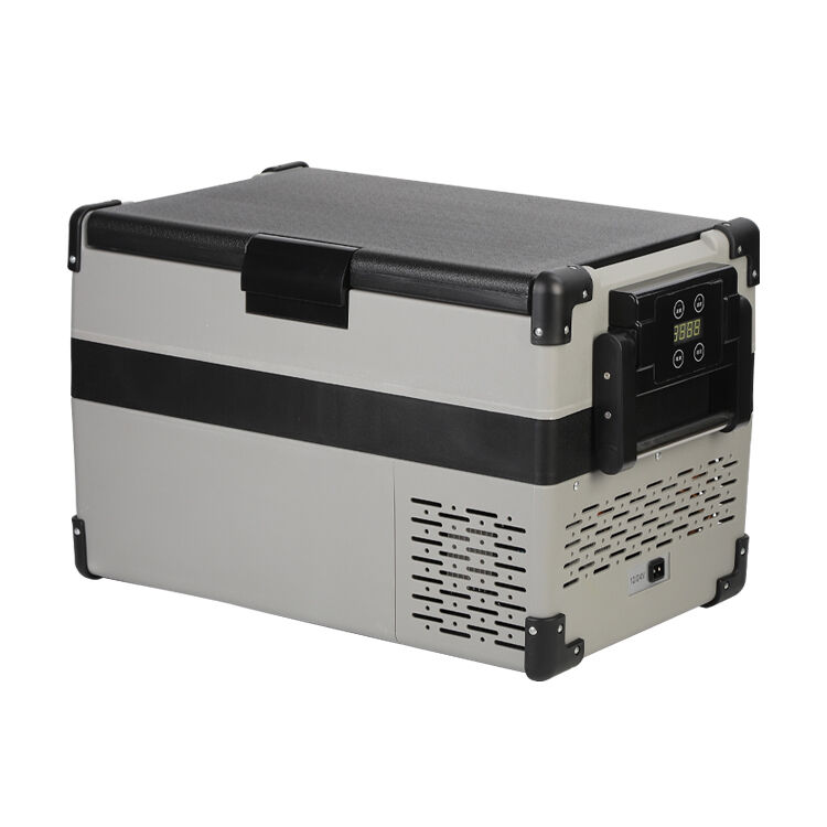 Supplier Car Refrigerator Compressor Fridge Ac/dc Compressor ...