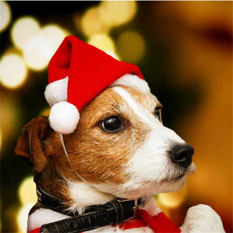 Nouvelles fournitures de décoration de Noël, couvre-chefs créatifs, chapeaux de Noël pour animaux de compagnie