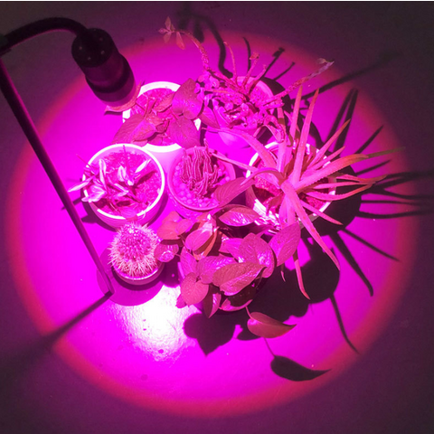 Lampe de croissance LED pliable pour plantes et fleurs, spectre complet réglable, lampe de culture 10W LEDs haute luminosité avec minuterie automatique
