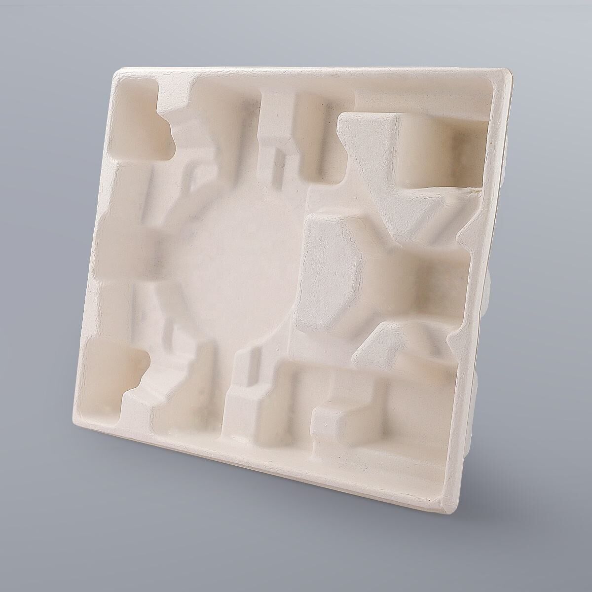 Bagasse Pulp Molded Packaging Tray Biodegradable Recycled Molded Paper ...