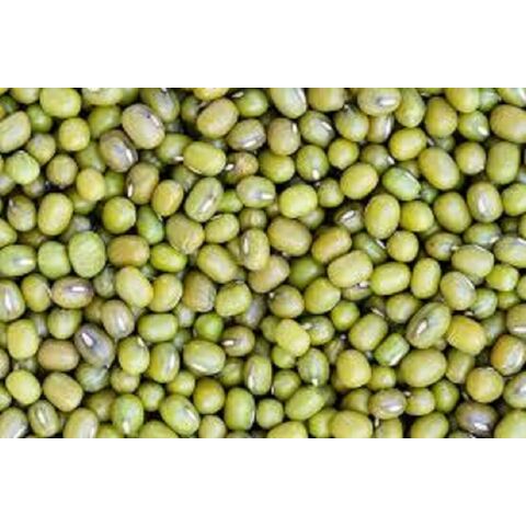 Proveedor Mayorista de Lentejas Mungo Verdes Frescas a Granel / Lentejas Moong Enteras de Alta Calidad al por Mayor, Naturales y Grandes