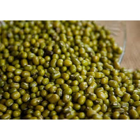 Proveedor Mayorista de Lentejas Mungo Verdes Frescas a Granel / Lentejas Moong Enteras de Alta Calidad al por Mayor, Naturales y Grandes