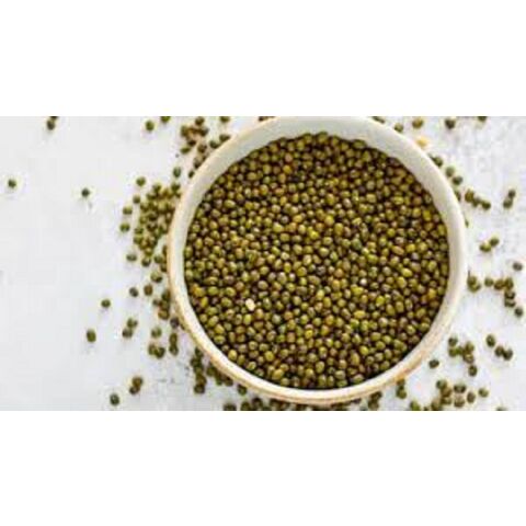 Proveedor Mayorista de Lentejas Mungo Verdes Frescas a Granel / Lentejas Moong Enteras de Alta Calidad al por Mayor, Naturales y Grandes