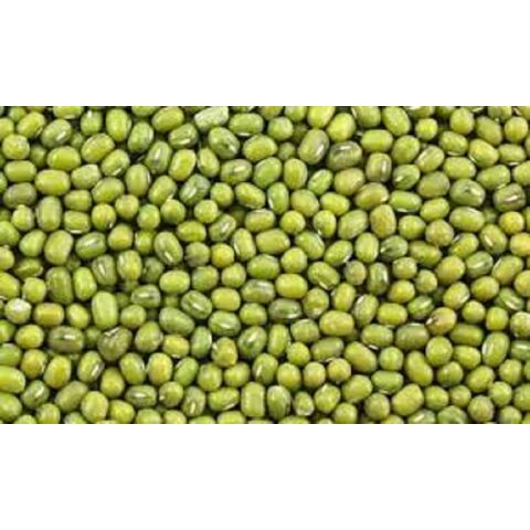Proveedor Mayorista de Lentejas Mungo Verdes Frescas a Granel / Lentejas Moong Enteras de Alta Calidad al por Mayor, Naturales y Grandes