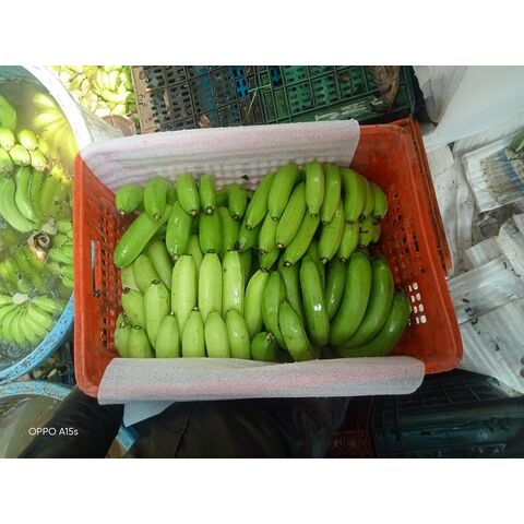 Banana Cavendish Orgânica Para Venda / Banana Verde Orgânica Atacado / Comprar Banana Cavendish de Qualidade Grau A+ Para Venda a Granel