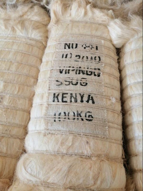 Sisal Fiber Ug Ssug For Sale From Kenya Raw 100 Clean Grades Unclude Ug Ssug 3l Tow