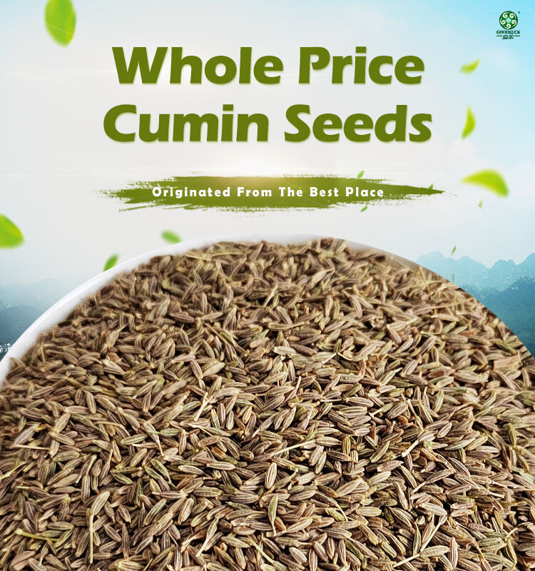 Cumin In Chinese Buy China Wholesale China Factory Supply Wholesale Cumin Seeds For Sale ...