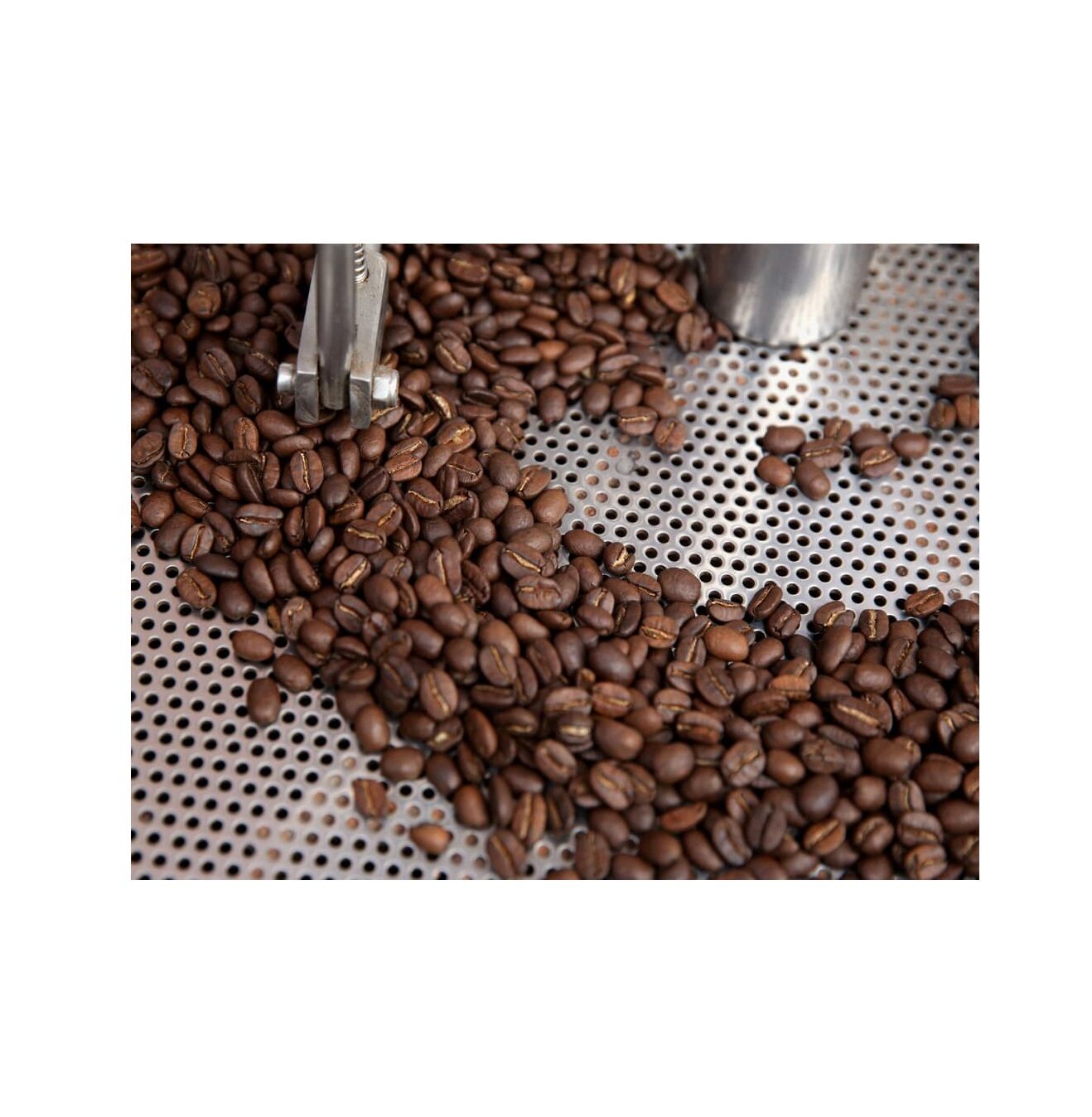 Curated visual reference: Visual Reference: 100 Top Quality Roasted Arabica Coffee Bean Best Roasted Coffee