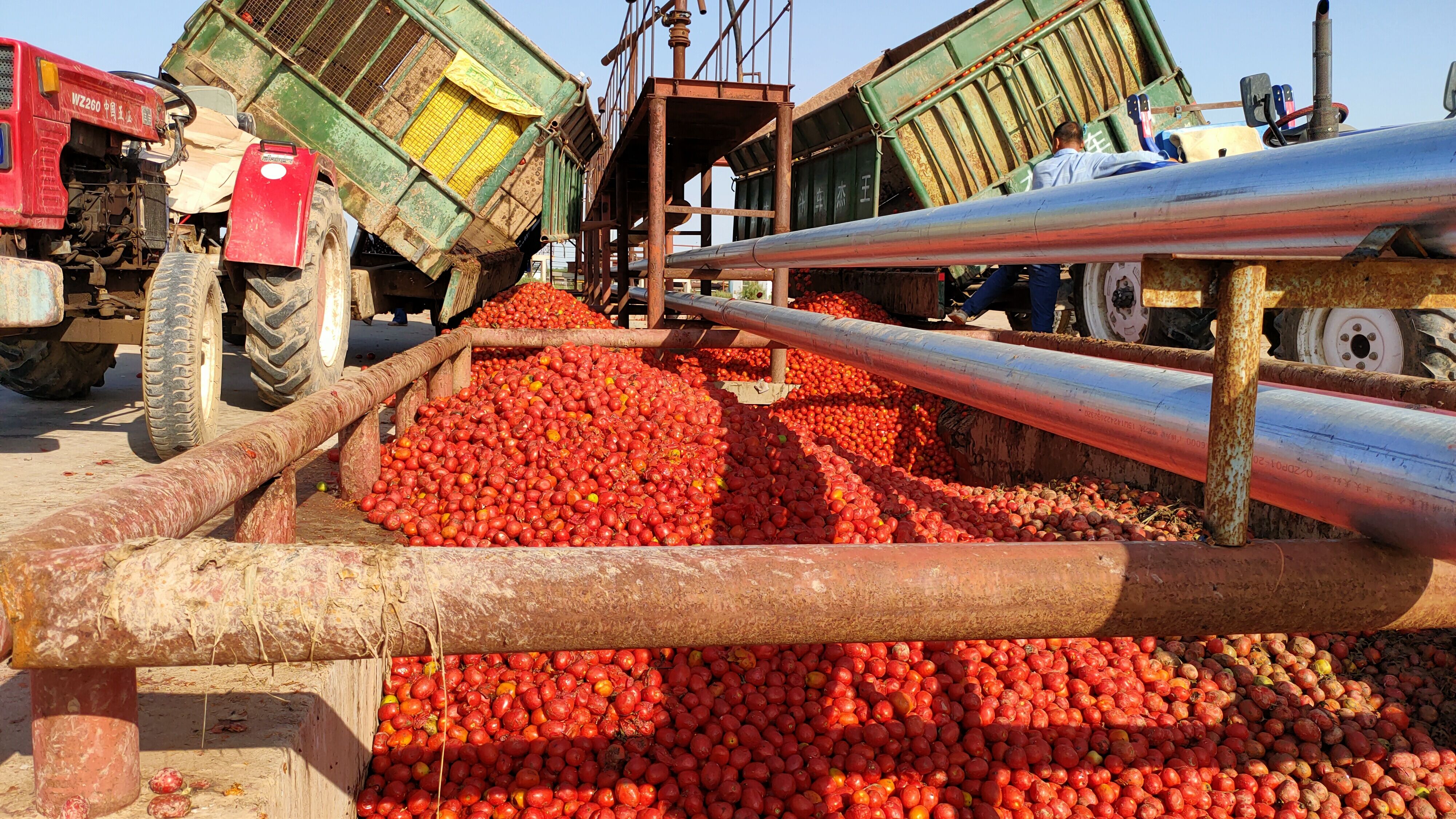 China Tomato Paste 36/38 Brix Cold Break Crop 2023 Packed In 220l Steel ...