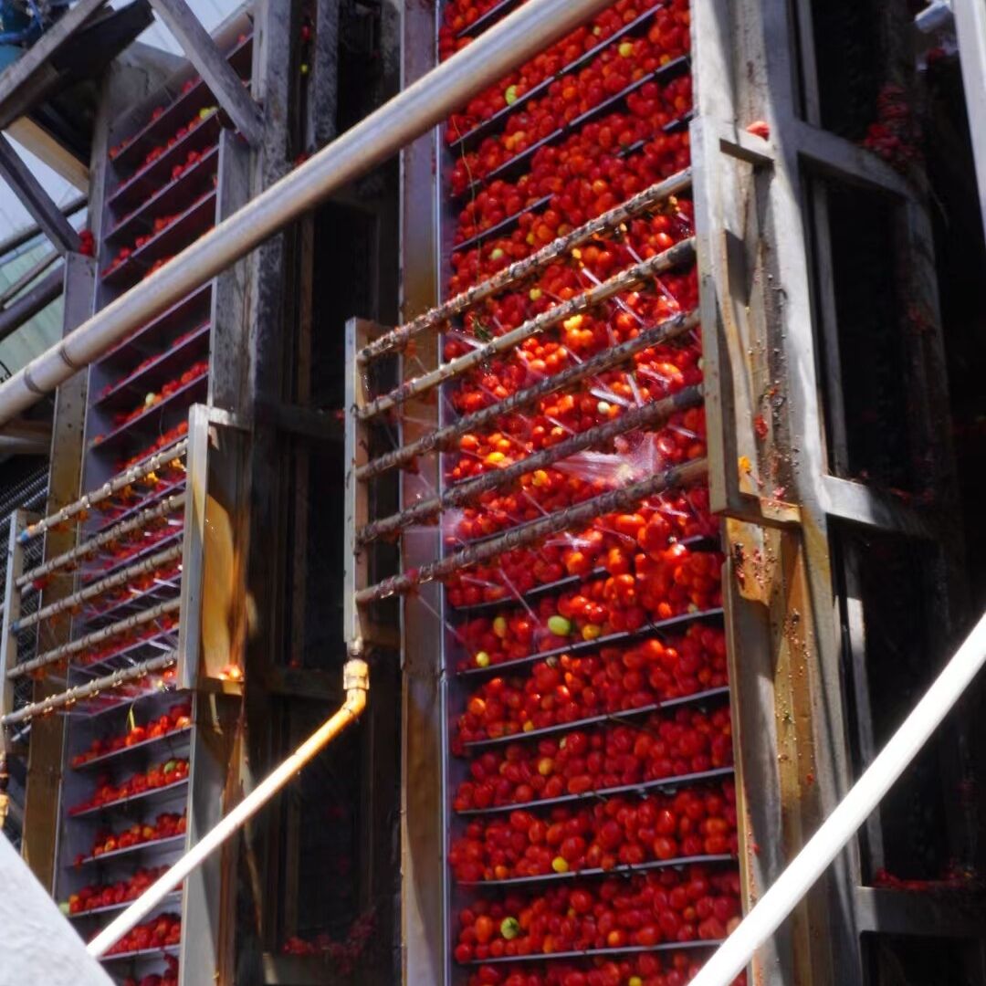 China Tomato Paste 36/38 Brix Cold Break Crop 2023 Packed In 220l Steel ...