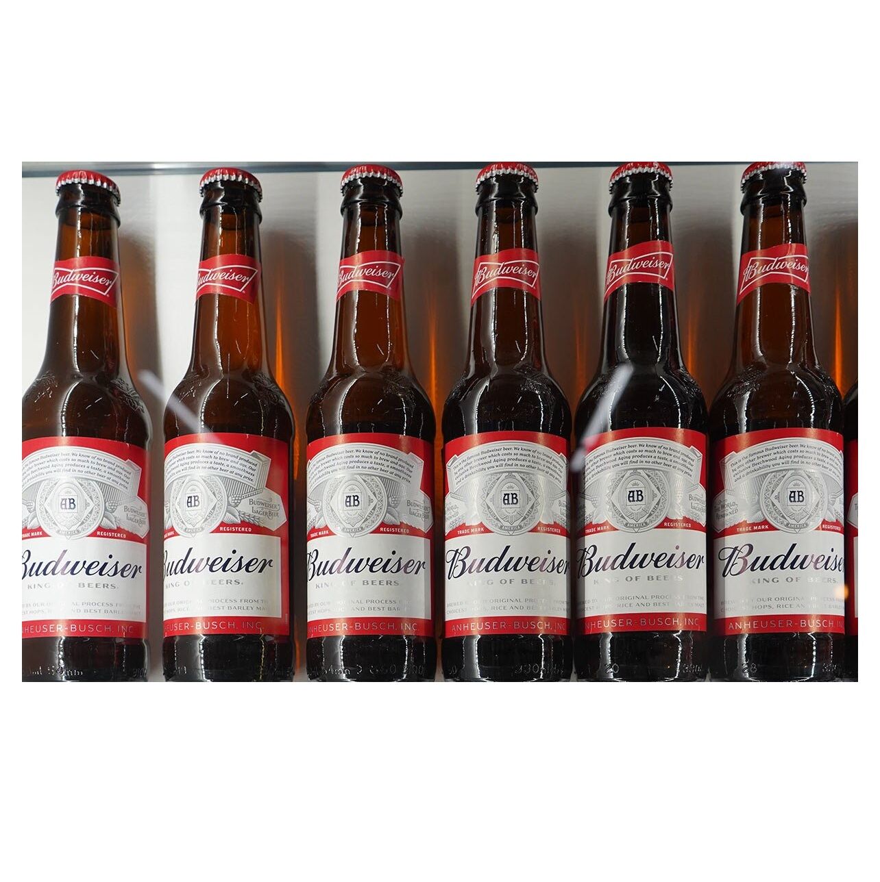 Budwaiser Raspberry Bulk Buy United States Wholesale Budweisers- 0.0 % Non Alcoholic Beer ...