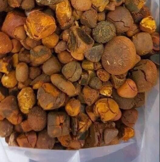 Best Quality Grade A Ox Gallstones / Cow Gallstones For Sale Wholesale