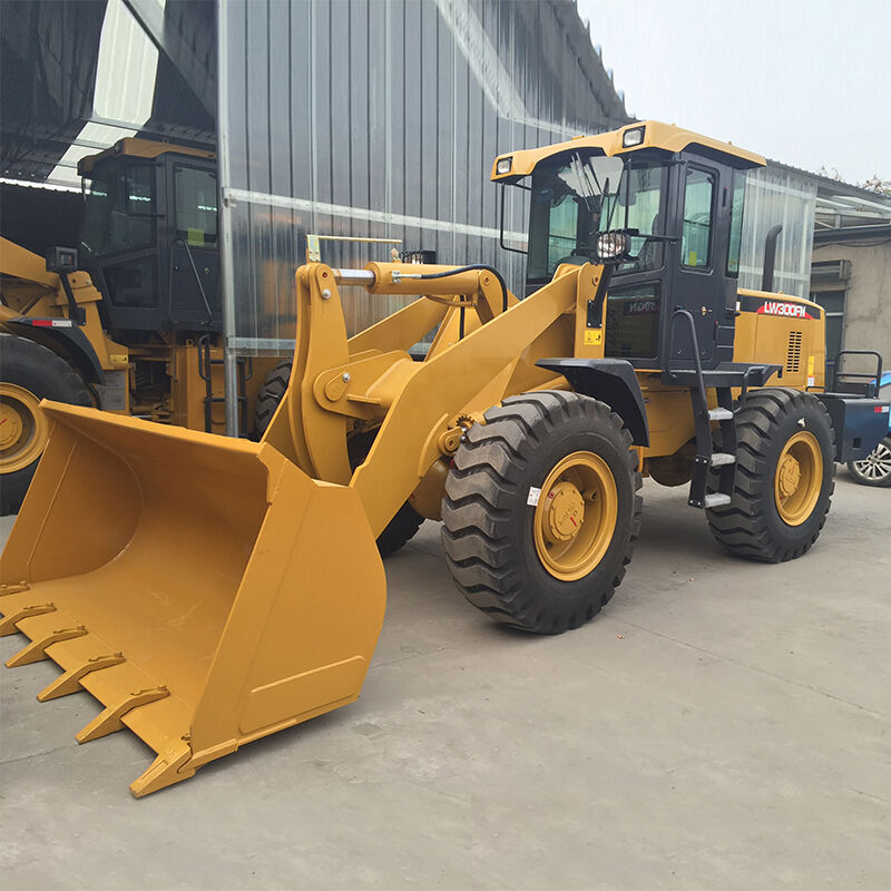Top Brand Lw600fn 6 Ton Wheel Loader With Apartments For Sale, Wheel ...
