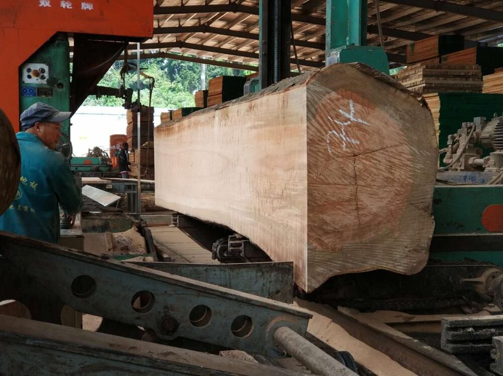 Buy Germany Wholesale Lumber, Sawn Plank For Sale , Timber Logs For