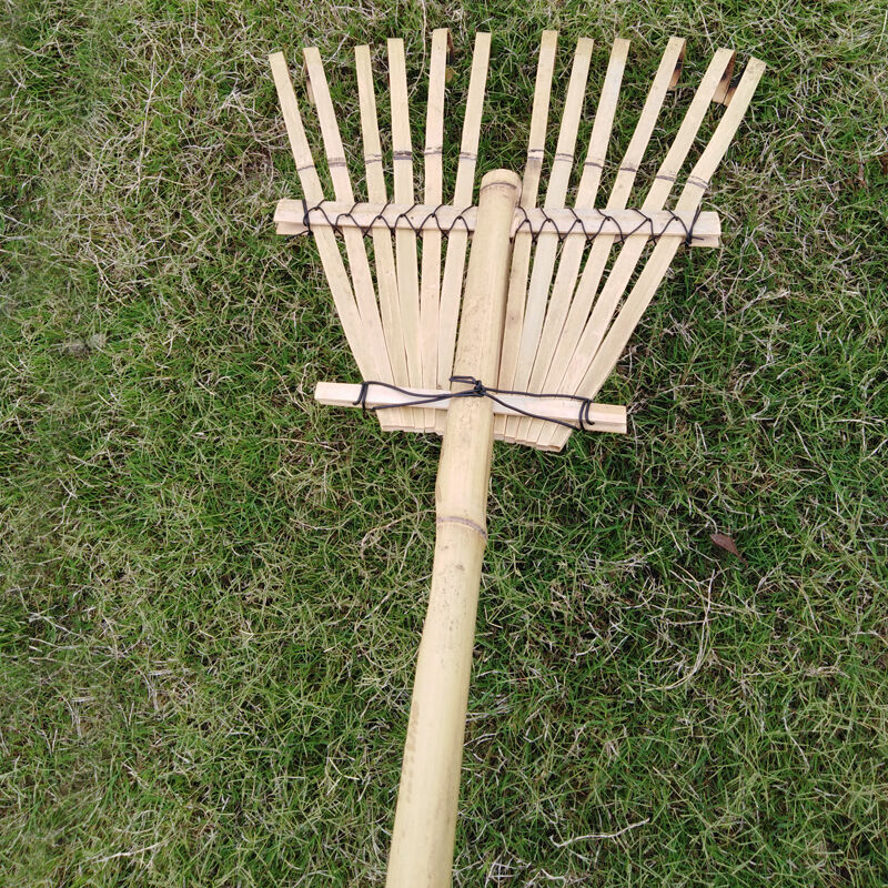 Buy China Wholesale Kids Lawns Leaf Rake Lawn Rake Short Handle Rake ...