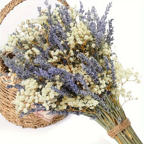 Buket Promosi Lavender Kering & Baby's Breath untuk DIY Karangan Bunga, Dekorasi Rumah & Hadiah Hari Valentine - Grosir