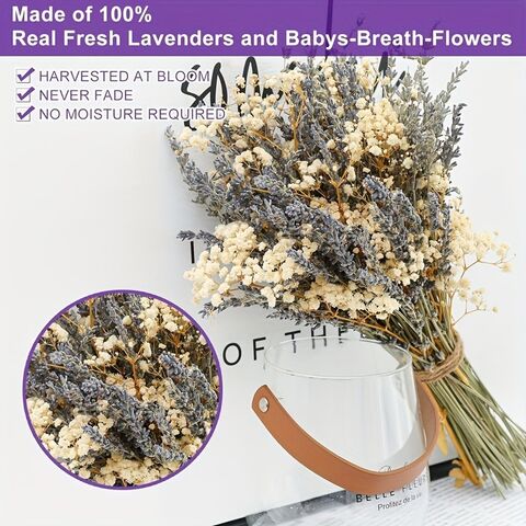 Buket Promosi Lavender Kering & Baby's Breath untuk DIY Karangan Bunga, Dekorasi Rumah & Hadiah Hari Valentine - Grosir