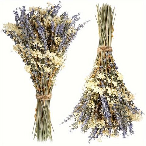 Buket Promosi Lavender Kering & Baby's Breath untuk DIY Karangan Bunga, Dekorasi Rumah & Hadiah Hari Valentine - Grosir