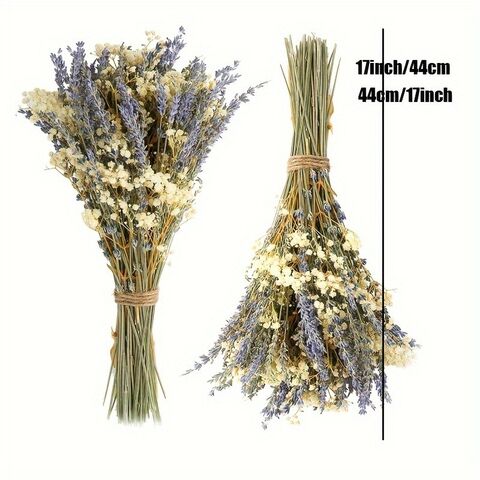 Buket Promosi Lavender Kering & Baby's Breath untuk DIY Karangan Bunga, Dekorasi Rumah & Hadiah Hari Valentine - Grosir