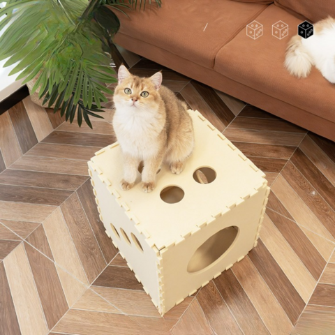 Nouveau Jouet pour Chat Petite Taille Toutes Saisons 2024 - Lit Cube Semi-Fermé