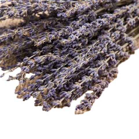 Grosir Buket Lavender Kering 260 Bunga Lavender Kering Alami Tanaman Dekorasi Rumah