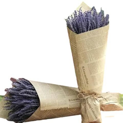 Grosir Buket Lavender Kering 260 Bunga Lavender Kering Alami Tanaman Dekorasi Rumah
