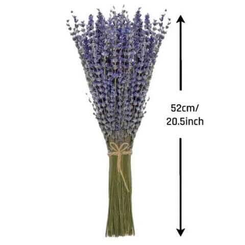 Grosir Buket Lavender Kering 260 Bunga Lavender Kering Alami Tanaman Dekorasi Rumah