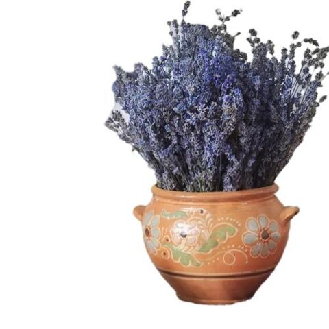 Grosir Buket Lavender Kering 260 Bunga Lavender Kering Alami Tanaman Dekorasi Rumah