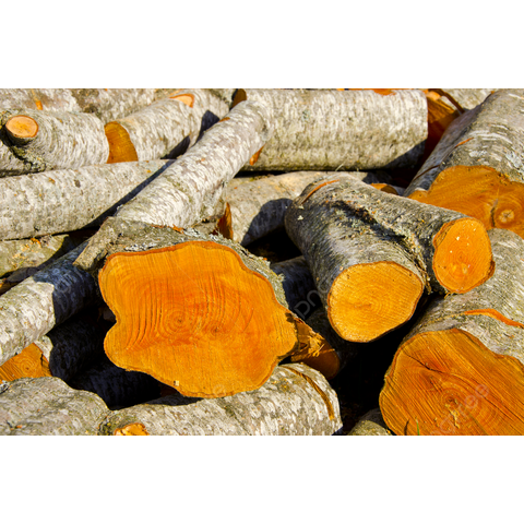 Leña de Aliso de Calidad y Tendencia / Leña de Haya Secada al Horno en Bolsas de 15 kg a la Venta en Italia