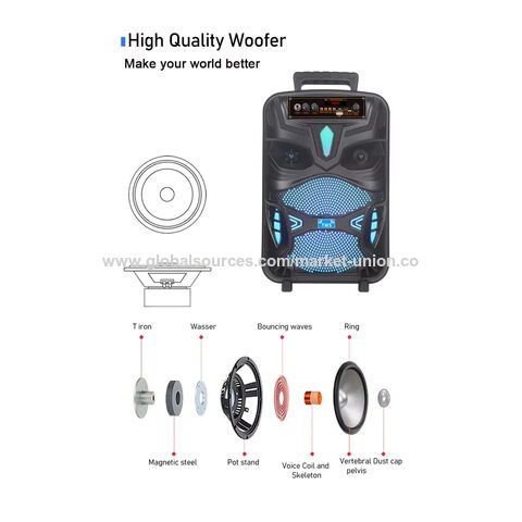 Haut-parleur Bluetooth avec woofer 8 pouces, LED, trolley, lecteur audio, enceinte portable professionnelle d'extérieur avec micro, modèle NDR-P55