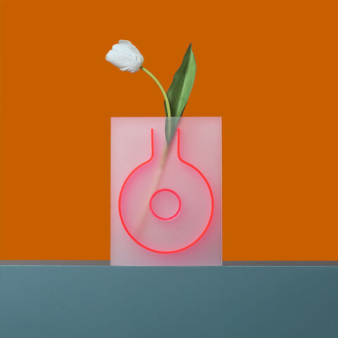 INS Style Nordische Acryl Vase Imagismus Farbe Acryl Blumenvase Elegante Hochzeitsdeko Vase