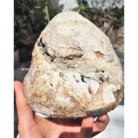Bulk Buy United Kingdom Wholesale Ambergris Stone From Bulk Buy United Kingdom Wholesale Ambergris Stone From