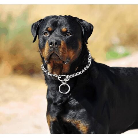Hundehalsband rutschfest P-Kette schwere Kette Hund Metall Trainingshalsband