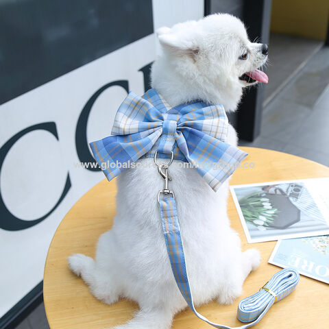 Harnais et laisses pour lapins et petits animaux de compagnie, ensemble d'accessoires bon marché, harnais en maille souple pour cobayes