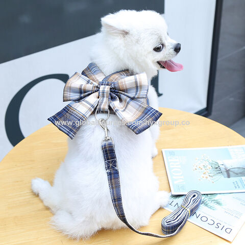 Harnais et laisses pour lapins et petits animaux de compagnie, ensemble d'accessoires bon marché, harnais en maille souple pour cobayes